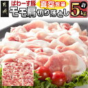 【ふるさと納税】「ぱわーす豚」モモ肩切り落とし5kg - 都城産豚肉 豚モモ肩切落とし肉(250g×20パック) 計5キロ ブランドポーク 国産/宮崎県産 真空...