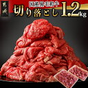 【ふるさと納税】【国産黒毛和牛】切り落とし1.2kg(600g×2P) - 国産 黒毛和牛 切り落とし 600g×2パック 冷凍配送 送料無料 MJ-E907【...