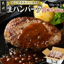 【ふるさと納税】宮崎牛100％使用の生ハンバーグ≪100g×5個≫ - 都城産 宮崎牛 生ハンバーグ 100g×5個 デミグラスソース 40g×5個 送料無料 AO-7702【宮崎県都城市は令和4年度ふるさと納税日本一！】