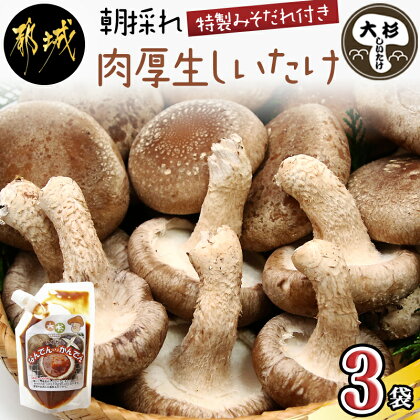 都城産朝採れ肉厚生しいたけ - 特製みそだれ付き 朝採れ生椎茸 約200g×3袋 計600g どんこ椎茸 贈り物・ギフトにも 国産 宮崎県産 チーズとも相性抜群 山之口町産 冷蔵保存/冷凍保存可 送料無料 AA-8701【宮崎県都城市は令和4年度ふるさと納税日本一！】