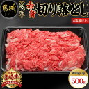 【ふるさと納税】宮崎牛赤身切り落とし500g - 国産黒毛和牛 ブランド牛 牛肉 宮崎牛切落とし肉 500グラムパック 肉じゃが/すきやき/牛丼や炒め物などに 万能 beef 冷凍 国産/九州産/宮崎県産 送料無料 AA-8908【宮崎県都城市は令和4年度ふるさと納税日本一！】