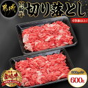 宮崎牛切り落とし600g - 国産黒毛和牛 ブランド牛 牛肉 宮崎牛切落とし肉 300g×2パック 計600グラム 牛丼や炒め物などに 万能 beef 冷凍 国産/九州産/宮崎県産 送料無料 AA-8909