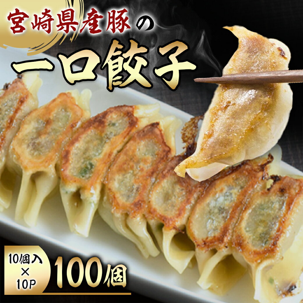 【ふるさと納税】宮崎県産豚の一口餃子100個 - ギョウザ 10個入×10パック 合計100個 冷凍餃子 ぎょうざ ギョーザ 宮崎県産豚肉使用 揚げ餃子 焼き餃子 送料無料 11-8903【宮崎県都城市は令和4年度ふるさと納税日本一！】