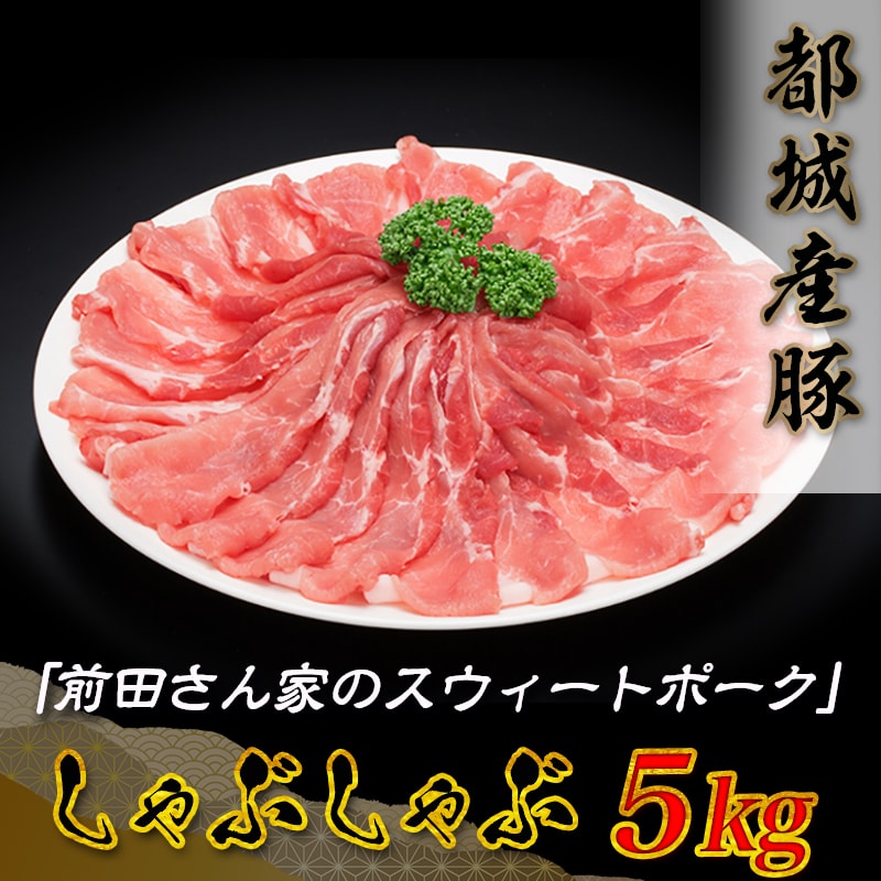 【ふるさと納税】「前田さん家のスウィートポーク」しゃぶしゃぶ5kg - 豚肉 モモしゃぶしゃぶ肉(冷凍小分け 500g×10パック) 合計5キロ 薄切り肉 送料無料 17-8904 【宮崎県都城市は令和4年度ふるさと納税日本一！】