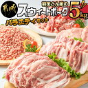 都城産「前田さん家のスウィートポーク」バラエティ5kgセット - 豚肉セット 豚ローススライス(300g)/豚バラスライス(300g)/とんかつ(400g)/切り落とし(500g×7)/ひき肉(500g) 計5キロ 送料無料 AC-8912