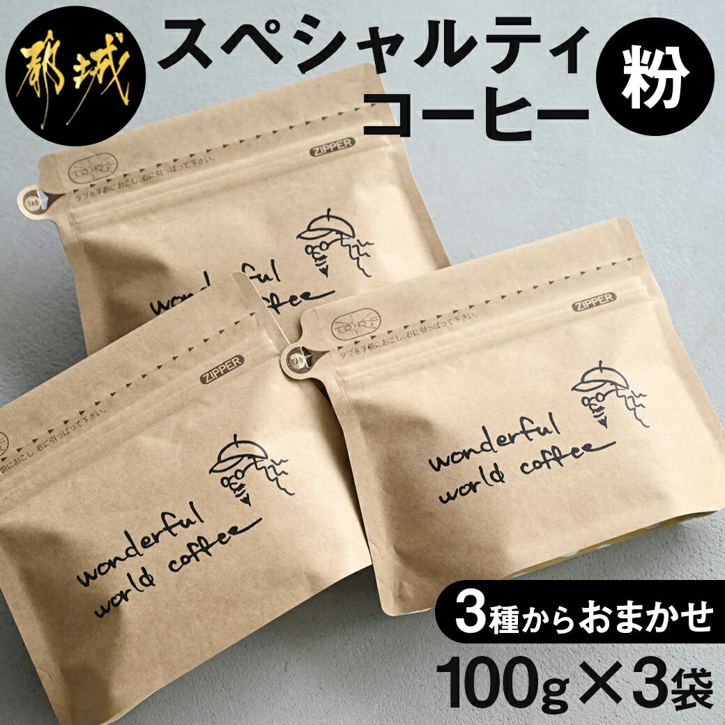 ふるさと納税 スペシャルティコーヒー 4種セット 粉 静岡県静岡市 通販
