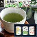 【ふるさと納税】斉光園のふかむし茶☆ギフト缶でお届け≪みやこんじょ快速便≫ - おちゃ 緑茶 斉光園の深蒸し茶 常盤 90g×3缶 茶葉セット お茶っ葉 深蒸し...