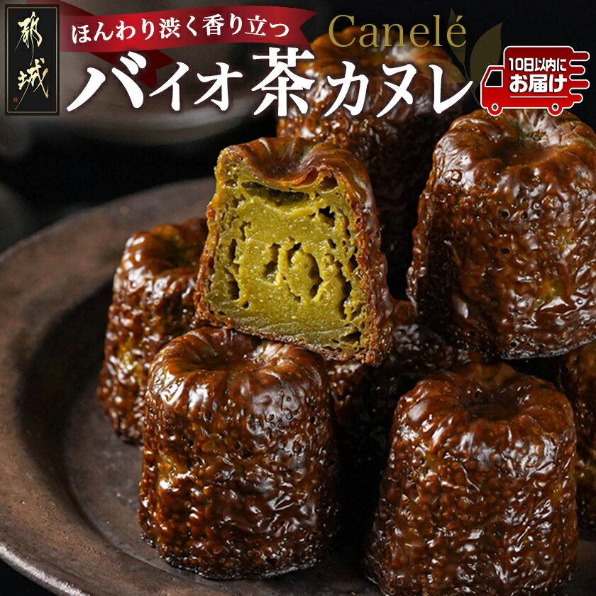 ڤդ뤵Ǽǡۤۤ¤Ωġ¤ߤΥХ㥫̥10ߤ䤳󤸤õآ - Х㥫̥ 40g10  ̥ ۻ/...