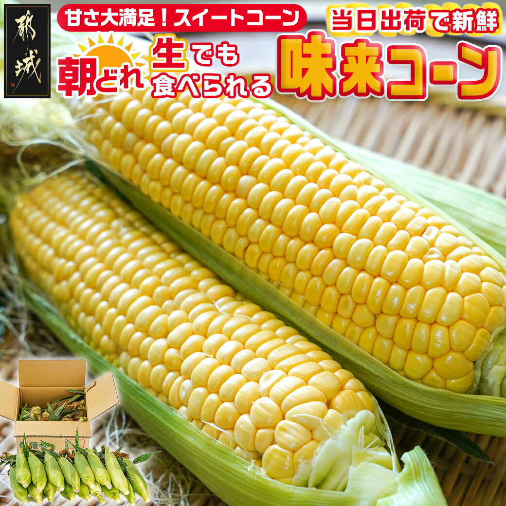 【ふるさと納税】朝どれ！！都城産スイートコーン(味来コーン)5kg 15本以上 - 朝どれ直送のとうもろこし スイートコーン 5キロ 約15本以上 産地直送 送料無料 AA-B401-6【宮崎県都城市は令和4年度ふるさと納税日本一！】