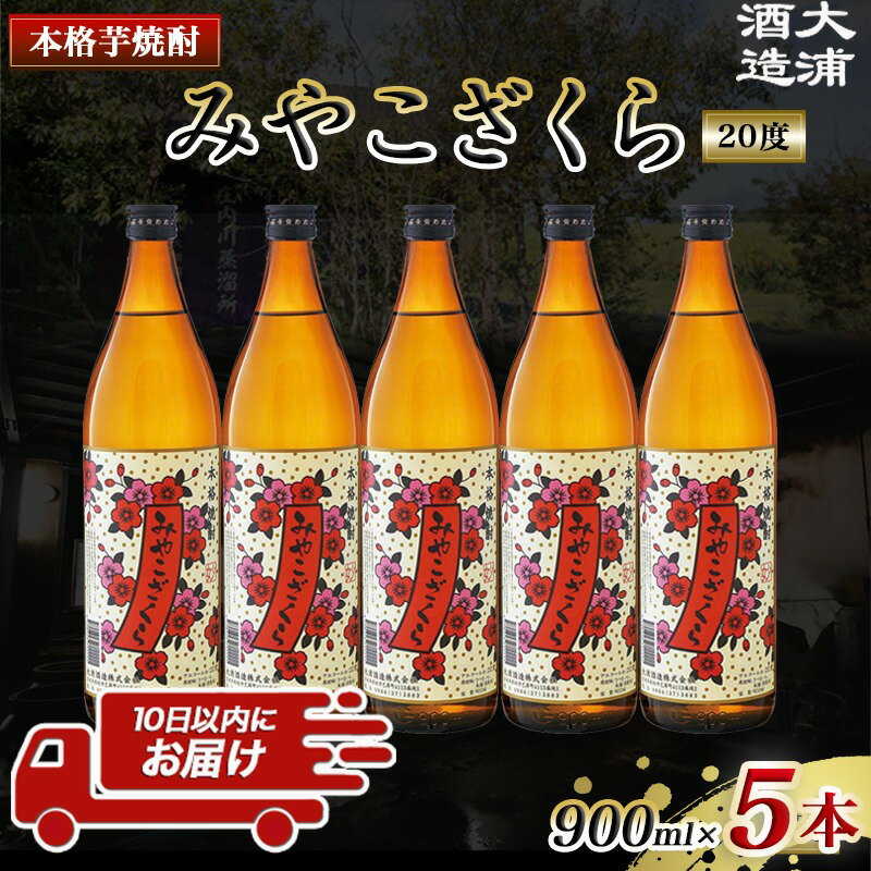 【ふるさと納税】【大浦酒造】みやこざくら(20度)900ml×5本 ≪みやこんじょ特急便≫ - 大浦酒造 20度 900ml 五合瓶 5本セット 芋焼酎 定番焼酎 送料無料 MJ-0770_99【宮崎県都城市は令和4年度ふるさと納税日本一！】