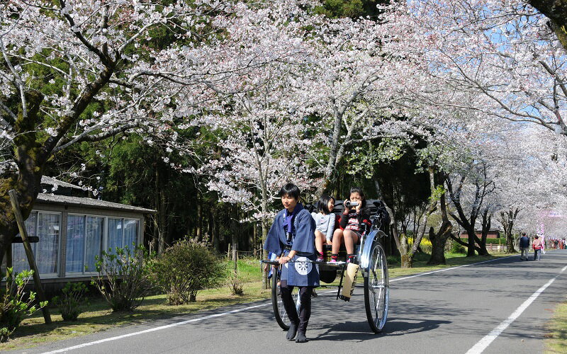 【ふるさと納税】宮崎県都城市の対象施設で使える楽天トラベルクーポン 寄附額500,000円 RT50-H101【宮崎県都城市は令和4年度ふるさと納税日本一！】その2