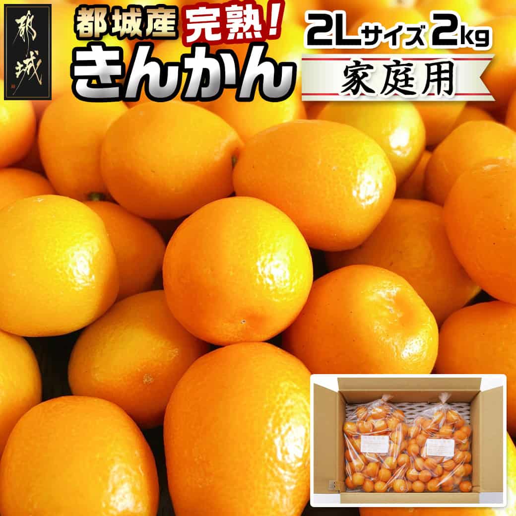 【ふるさと納税】【2月〜3月お届け】都城産完熟きんかん 家庭用2kg (2Lサイズ) - 都城産 完熟きんかん きんかん 2Lサイズ 約2kg 柑橘類 2月〜3月お届け 家庭用 先行受付 送料無料 13-B501【宮崎県都城市は2年連続ふるさと納税日本一！】のサムネイル