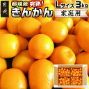 【ふるさと納税】【先行予約!】【2月~3月お届け】都城産完熟きんかん 家庭用3kg (Lサイズ) - 都城産 完熟きんかん きんかん Lサイズ 約3kg 柑橘類 2月~3月お届け 家庭用 先行受付 送料無料 14-B501【宮崎県都城市は2年連続ふるさと納税日本一!】