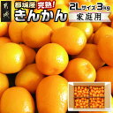 【ふるさと納税】【先行予約!】【2月~3月お届け】都城産完熟きんかん 家庭用3kg (2Lサイズ) - 都城産 完熟きんかん きんかん 2Lサイズ 約3kg 柑橘類 2月~3月お届け 家庭用 先行受付 送料無料 18-B501【宮崎県都城市は2年連続ふるさと納税日本一!】