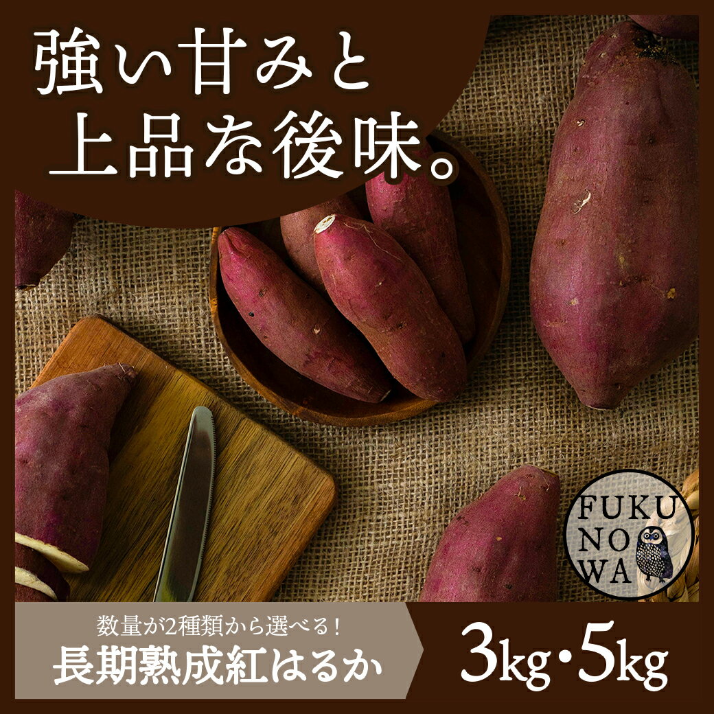 【ふるさと納税】【内容量が選べる！】都城産 長期熟成紅はるか - さつまいも 都城産さつまいも 熟成紅はるか 3kg/5kg 長期熟成 スイーツ 送料無料 SKU-I202【宮崎県都城市は令和4年度ふるさと納税日本一！】