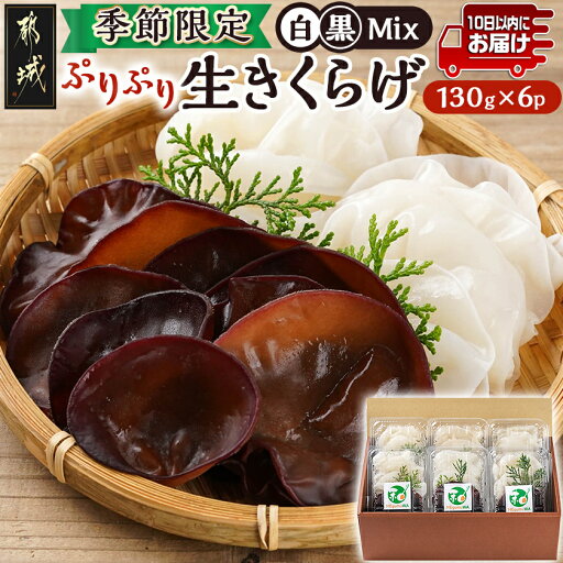 【ふるさと納税】≪季節限定!≫ぷりぷり食感の生きくらげ(白&黒Mix)130g×6パック≪みやこんじょ特急便≫ - 国産 肉厚きくらげ 生きくらげ 黒いきくらげ 白いきくらげ 希少品種 キクラゲ 冷蔵配送 送料無料 11-C901-Q 【宮崎県都城市は2年連続ふるさと納税日本一!】 【ふるさと納税】≪季節限定!≫ぷりぷり食感の生きくらげ(白&黒Mix)130g×6パック≪みやこんじょ特急便≫ - 国産 肉厚きくらげ 生きくらげ 黒いきくらげ 白いきくらげ 希少品種 キクラゲ 冷蔵配送 送料無料 11-C901-Q 【宮崎県都城市は2年連続ふるさと納税日本一!】