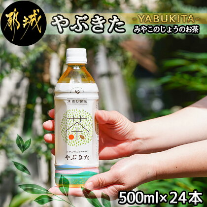 【みやこのじょうのお茶】やぶきた500ml×24本(1ケース) - 緑茶 ペットボトル 500ml 24本 浅蒸し製法 さわやかで深い味わい ペットボトル緑茶 PET NiQLL ニクル 送料無料 AO-I501 【宮崎県都城市は令和4年度ふるさと納税日本一！】