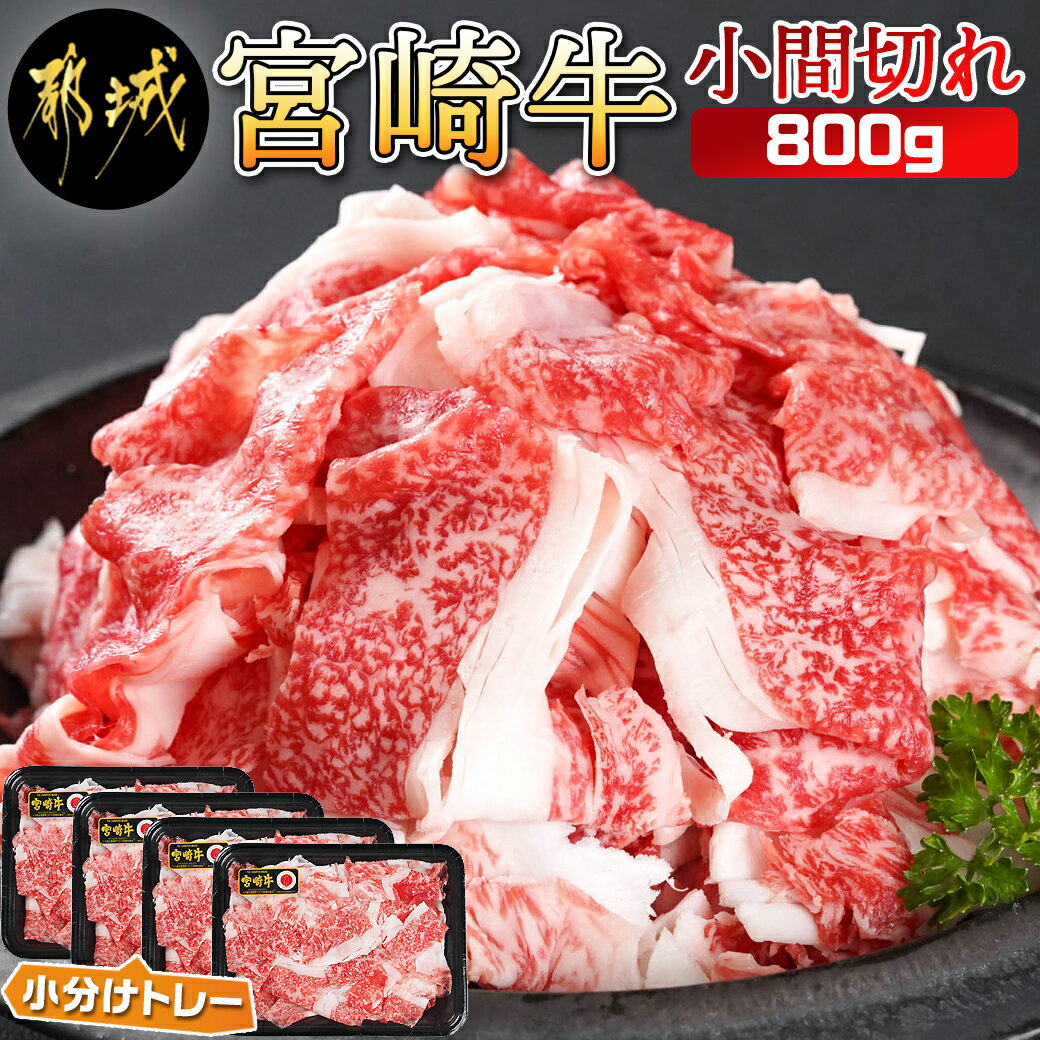 【ふるさと納税】宮崎牛小間切れ800g - 宮崎県産宮崎牛 国産牛肉 小間切れ 200g×4パック 合計800g 宮崎牛 牛肉 こま切れ 小分け 送料無料 12-I602 【宮崎県都城市は令和4年度ふるさと納税日本一！】