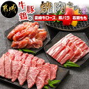 【ふるさと納税】牛・豚・鶏の焼肉セット(宮崎牛ロース肉・豚バ