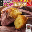 【ふるさと納税】【内容量が選べる!】【訳あり】☆おいも職人!甘三郎☆紅はるかの甘熟 蜜焼き芋(冷凍) - さつまいも 1kg/2kg/3kg ひんやり やきいも 熟成 冷やし焼き芋 冷凍 送料無料 SKU-I703 【宮崎県都城市は2年連続ふるさと納税日本一!】