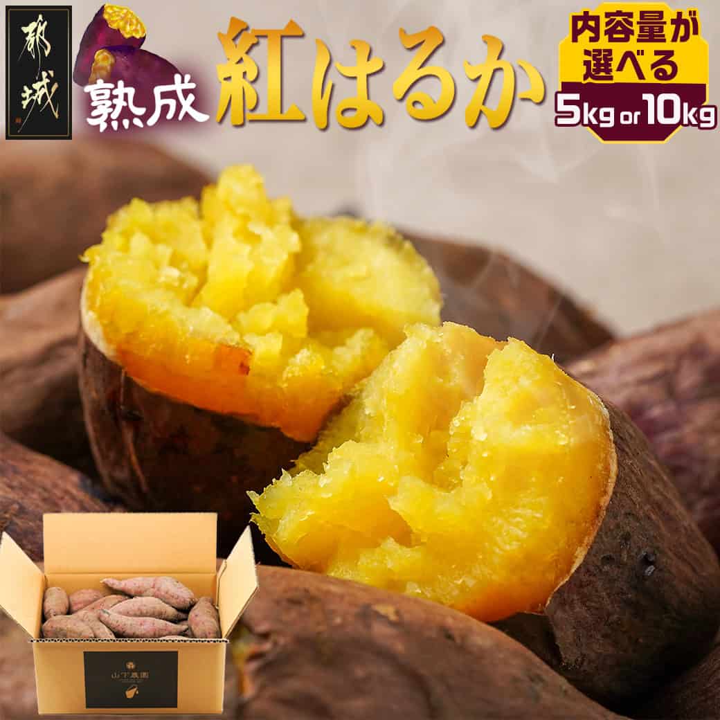 【ふるさと納税】先行受付！【10月お届け】【農家直送】山下農園　熟成紅はるか 5kg - 都城産 紅はるか 5kg 農家直送 さつまいも サイズ未選別 長期熟成 予約 期間限定 送料無料 LD-I701【宮崎県都城市は令和2年度ふるさと納税日本一！】のサムネイル