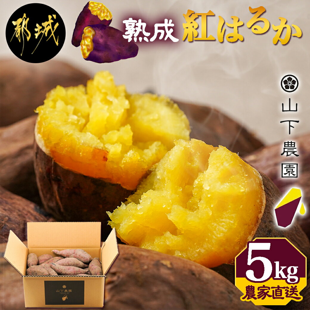 【ふるさと納税】【農家直送】山下農園　熟成紅はるか 5kg - 都城産 紅はるか 5kg 農家直送 さつまいも サイズ未選別 長期熟成 送料無料 LD-I701【宮崎県都城市は令和4年度ふるさと納税日本一！】