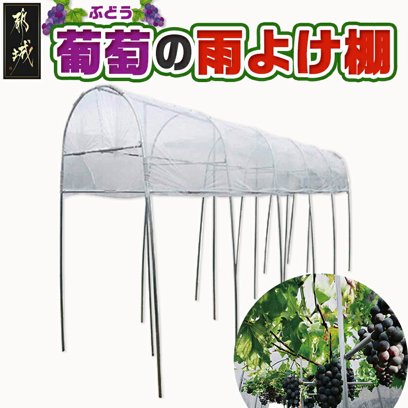 葡萄の雨よけ棚セット - ぶどう専用雨よけ棚セット ぶどう栽培専用 農業用ビニール使用 組み立て 組立説明書付き 農業 菜園 南榮工業 送料無料