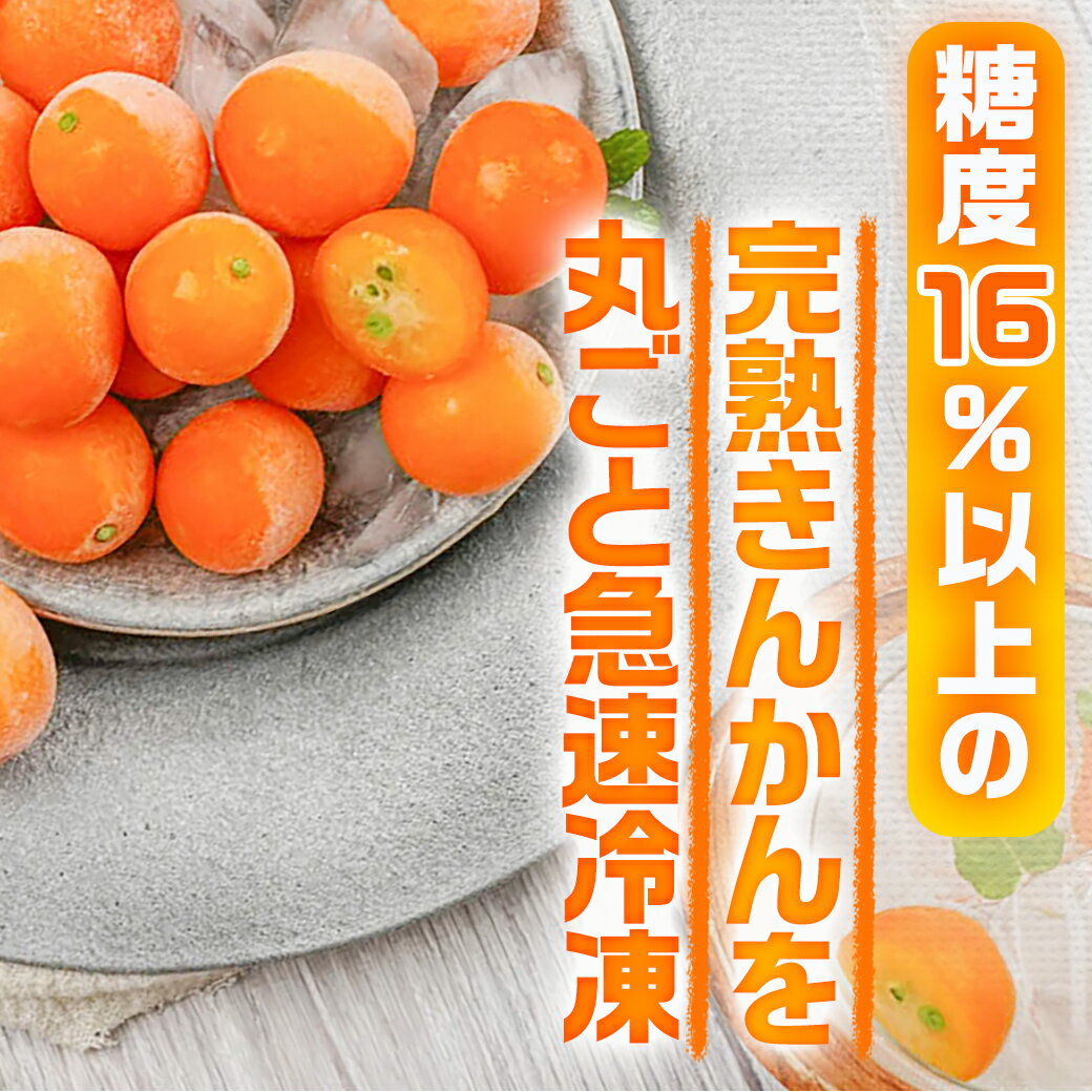 【ふるさと納税】完熟きんかんのフローズンセット - 金柑 氷結きんかん 完熟きんかんマカロン 急速冷凍 浅井万十店（都城市）と内山金柑園のコラボ スイーツ 送料無料 AA-J701 【宮崎県都城市は令和4年度ふるさと納税日本一！】 2