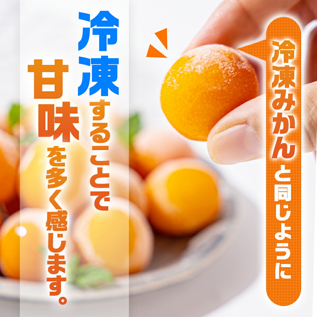 【ふるさと納税】完熟きんかんのフローズンセット - 金柑 氷結きんかん 完熟きんかんマカロン 急速冷凍 浅井万十店（都城市）と内山金柑園のコラボ スイーツ 送料無料 AA-J701 【宮崎県都城市は令和4年度ふるさと納税日本一！】 3