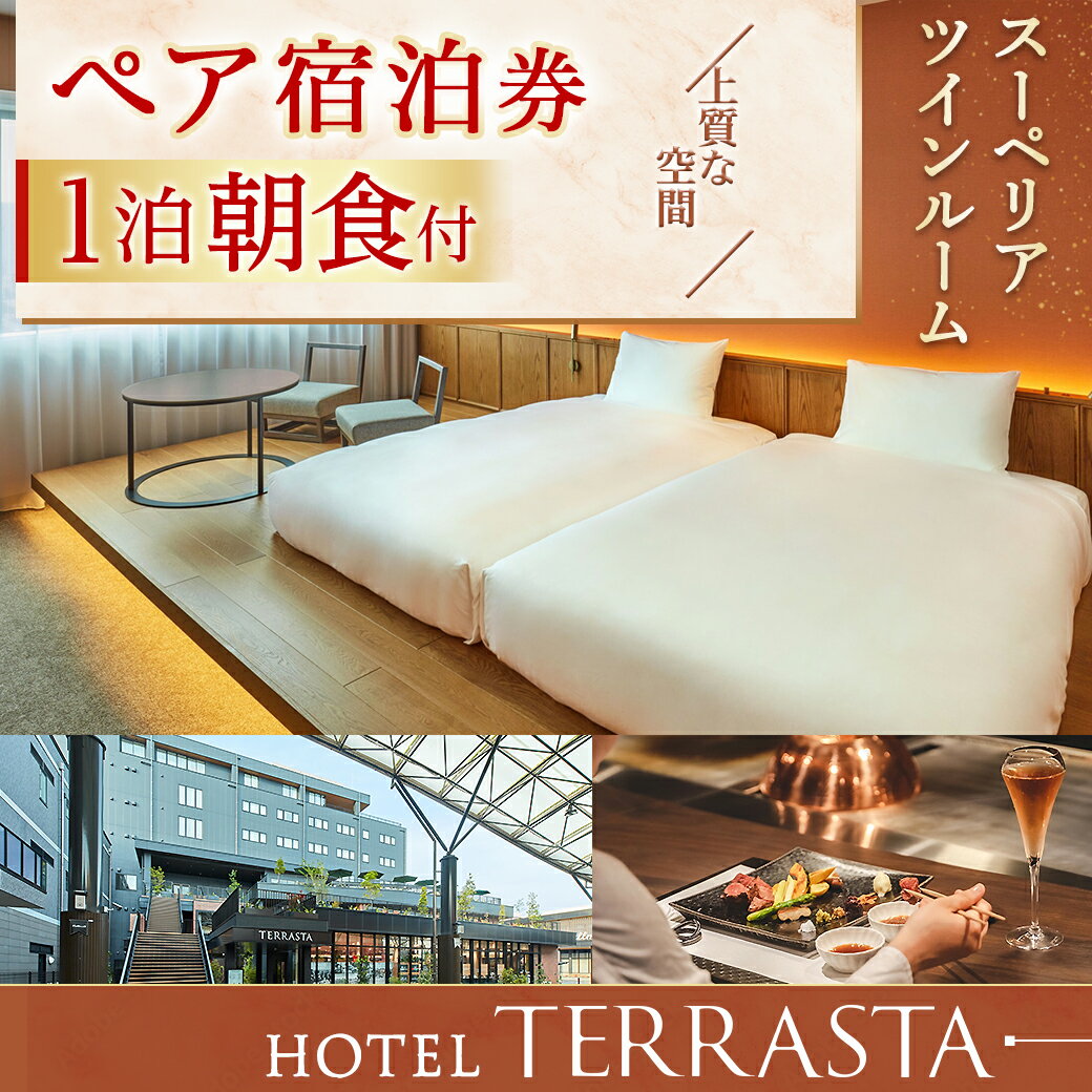 【ふるさと納税】【HOTEL TERRASTA】スーペリアツインルーム≪1泊朝食付 宿泊券2名様分≫ - 1泊朝食付 宿泊券 2名様分 チケット ペア宿泊券 ホテル利用券 ホテル テラスタ 朝食 ビュッフェ Wi-Fiあり 送料無料 74-K501 【宮崎県都城市は令和4年度ふるさと納税日本一！】その2