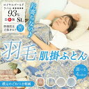 宮崎県都城市の画像2