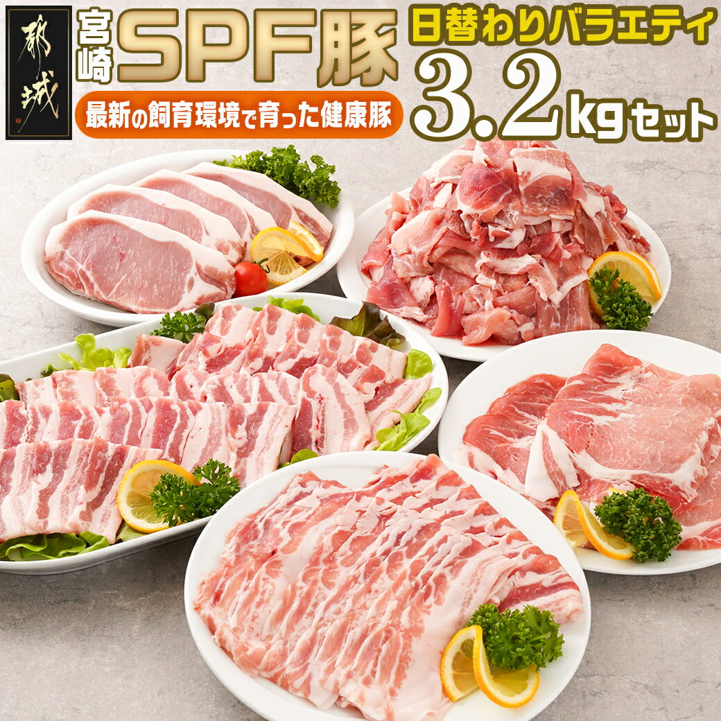 【ふるさと納税】「宮崎SPF豚 」日替わりバラエティ3.2kgセット - 宮崎県産豚 小間切れ ロースステーキ用 肩ローススライス バラ焼肉用 ロース又はバラしゃぶ 真空 SPF豚 冷凍 送料無料 16-K901【宮崎県都城市は令和4年度ふるさと納税日本一！】