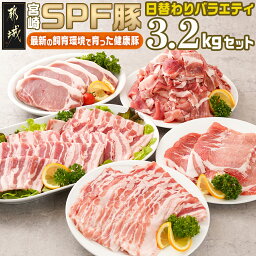 【ふるさと納税】「宮崎SPF豚 」日替わりバラエティ3.2kgセット - 宮崎県産豚 小間切れ ロースステーキ用 肩ローススライス バラ焼肉用 ロース又はバラしゃぶ 真空 SPF豚 冷凍 送料無料 16-K901【宮崎県都城市は令和4年度ふるさと納税日本一！】