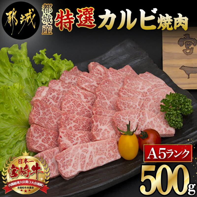 都城産宮崎牛特選カルビ焼肉(A5) - 牛肉 A5等級の宮崎牛 特選カルビ焼肉(500g) A5ランク 最高級の国産黒毛和牛 最上級の霜降り牛肉 焼き肉/バーベキュー/鉄板焼きにどうぞ 送料無料