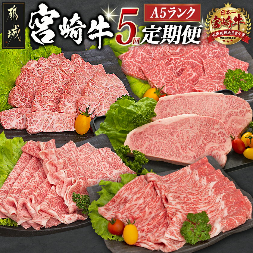 【ふるさと納税】日本一の宮崎牛定期便【毎月29日は都城のお肉でお肉時間】 - 全てA5ランク 全て宮...