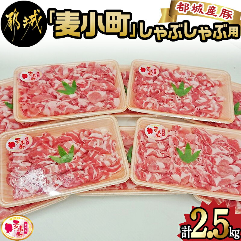 【ふるさと納税】「麦小町」しゃぶしゃぶ2.5kgセット - 豚肉 豚下ロースしゃぶ肉・豚バラしゃぶ肉 各250g×5パック 計10パック 合計2.5キロ 国産 宮崎県産 都城産 しゃぶしゃぶのタレ セット 送料無料 MJ-A602【宮崎県都城市は令和2年度ふるさと納税日本一！】のサムネイル