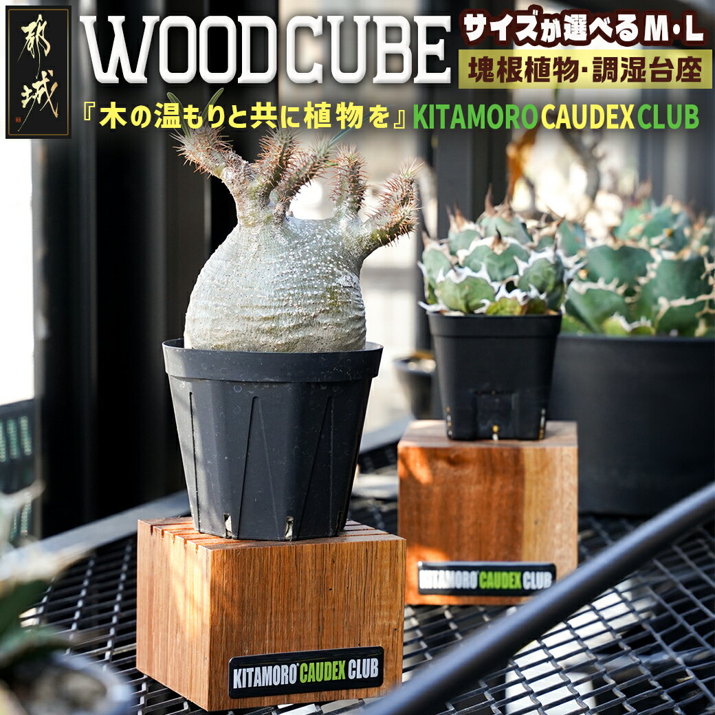 5位! 口コミ数「0件」評価「0」【サイズが選べる！】WOOD CUBE 〜あい言葉は『木の温もりと共に植物を』〜 - ガーデニング 台座 木製 置くだけ ガーデニング雑貨 ･･･ 