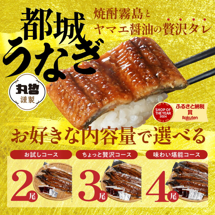 宮崎県都城市の画像2