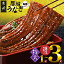 【ふるさと納税】《レビューキャンペーン実施中!》【内容量が選べる!】宮崎県育ちの【特大】うなぎ蒲焼≪山椒・たれ付≫ - 特大うなぎ蒲焼 有頭 宮崎県産 選べる内容量 1尾/2尾/3尾 丑の日 敬老の日 送料無料 SKU-M302 【宮崎県都城市は2年連続ふるさと納税日本一!】