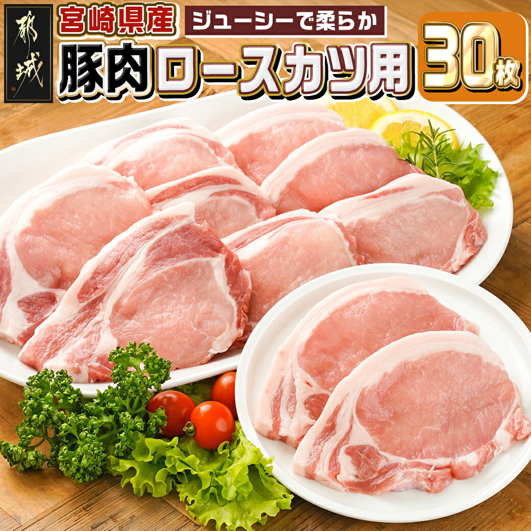 宮崎県産豚肉ロースカツ用30枚 - 宮崎県産豚肉 豚ロース 5枚×6パック トンカツ用カット 1枚100g とんかつ/トンテキ/ポークステーキ 冷凍 家庭料理 パック 大容量 送料無料