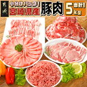 【ふるさと納税】宮崎県産豚肉5kgセット - 大容量 宮崎県産豚肉 ローススライス バラスライス ロースカツ用 切り落とし ミンチ 5キロ 国産 お肉 バラエテ...