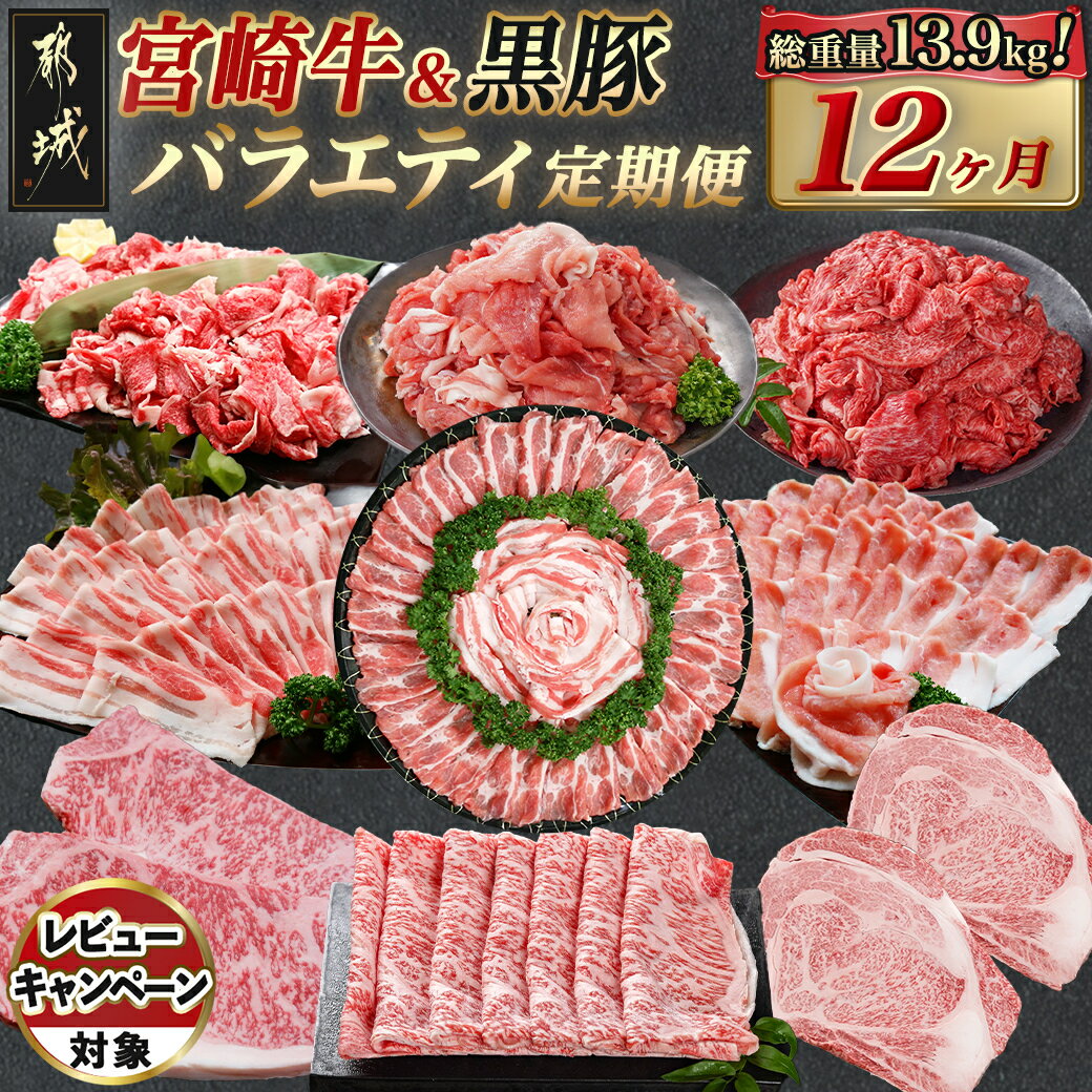 【ふるさと納税】《レビューキャンペーン実施中！》宮崎牛＆黒豚 まるゆうバラエティ定期便(12ヶ月) - 国産牛肉 国産豚肉 都城産黒豚 宮崎牛サーロインステーキ 黒豚しゃぶしゃぶ 毎月お届け 12回定期便 送料無料 TAC12-N401 【宮崎県都城市は2年連続ふるさと納税日本一！】