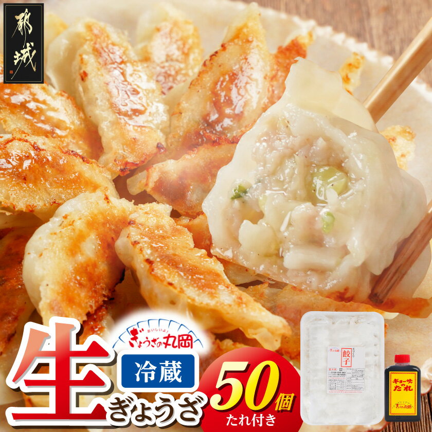 楽天宮崎県都城市【ふるさと納税】【ぎょうざの丸岡】生ぎょうざ50個たれ付き - 生餃子 ぎょうざ 焼きぎょうざのたれ1本付き 醤油タレ 焼き餃子 揚げ餃子 水餃子 餃子鍋 贈り物 50個 冷蔵 金曜日お届け 送料無料 AA-O101【宮崎県都城市は2年連続ふるさと納税日本一！】