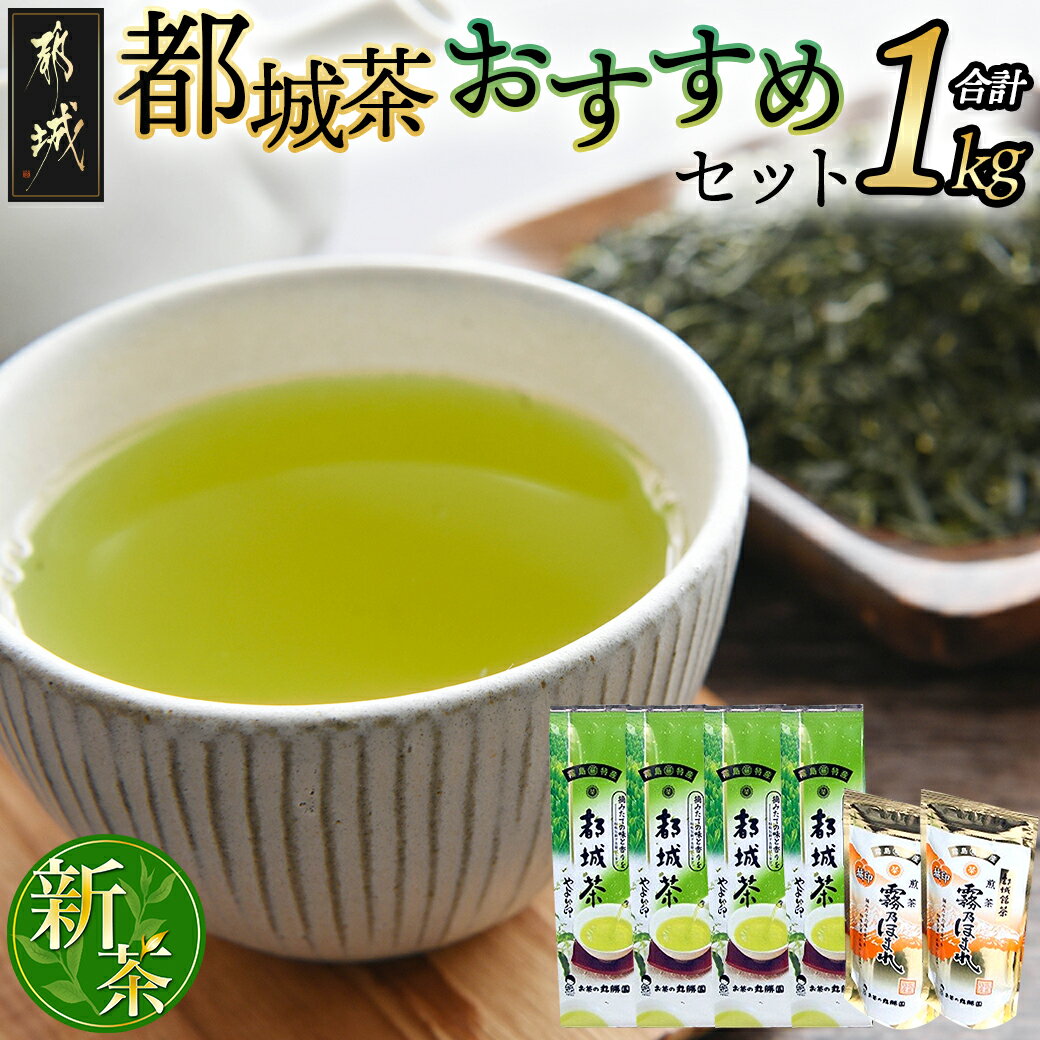 1位! 口コミ数「2件」評価「4.5」都城茶1kg おすすめセット - 丸勝園 都城上煎茶(100g×2本) 都城茶(200g×4本) 緑茶 厳選茶葉使用の都城銘産/霧島特産 や･･･ 