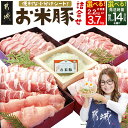 お米豚セット - 豚肉 豚ロース 豚こま切れ 豚バラ肉 豚肩ロース 計2.2キロ/3.7キロ スライス肉 小分け 都城産豚 ブランド豚 快速便あり お届け時期が選べる 送料無料 SKU-3105