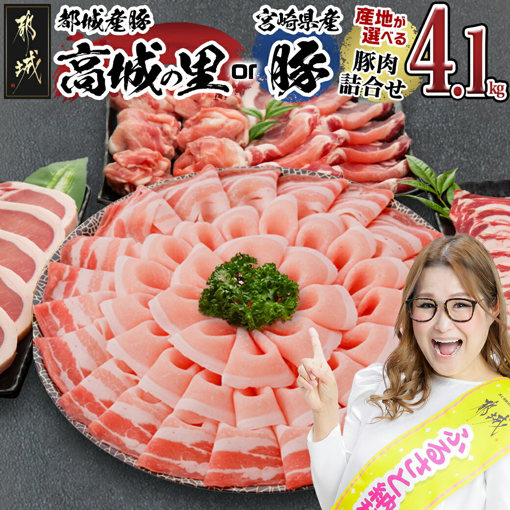 【ふるさと納税】【産地＆発送時期が選べる！】わくわく4.1kgセット - ロースとんかつ バラ焼肉 肩ローススライス ロース・バラしゃぶしゃぶ 切り落とし 小分け 都城産高城の里/宮崎県産豚 発送時期が選べる 送料無料 SKU-8404【宮崎県都城市は2年連続ふるさと納税日本一！】