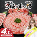 宮崎県都城市の画像2