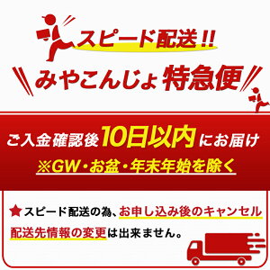 【ふるさと納税】都城酒造 ほろ酔い梅酒2本≪みやこんじょ特急便≫ - プレミアム梅酒 14度 500ml 2本 都城酒造 梅酒 ほろよい 国産梅使用 送料無料 AO-6701 【宮崎県都城市は令和4年度ふるさと納税日本一！】