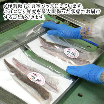 【ふるさと納税】【お楽しみ定期便】 延岡産活〆鮮魚の豪華お刺身（12ヶ月定期便）ヒラメ　真鯛　カンパチ　シマアジ　ブリ　カンパチ漬け丼　チルド冷蔵 旬 国産 宮崎県延岡市 送料無料