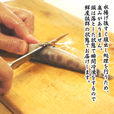 【ふるさと納税】大正5年創業 メヒカリ料理発祥の店「日本料理 高浜」のメヒカリ唐揚げ 800g 小分け 郷土料理 おつまみ 簡単調理 冷凍 宮崎県延岡市 送料無料